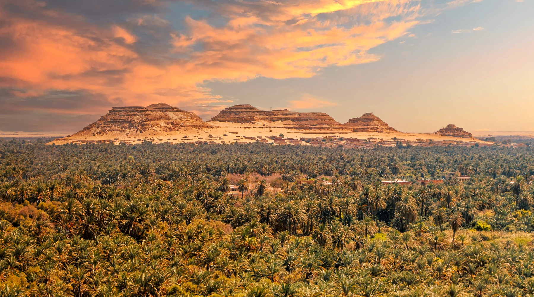 Siwa Oasis at sunset, with palm groves below the desert plateau