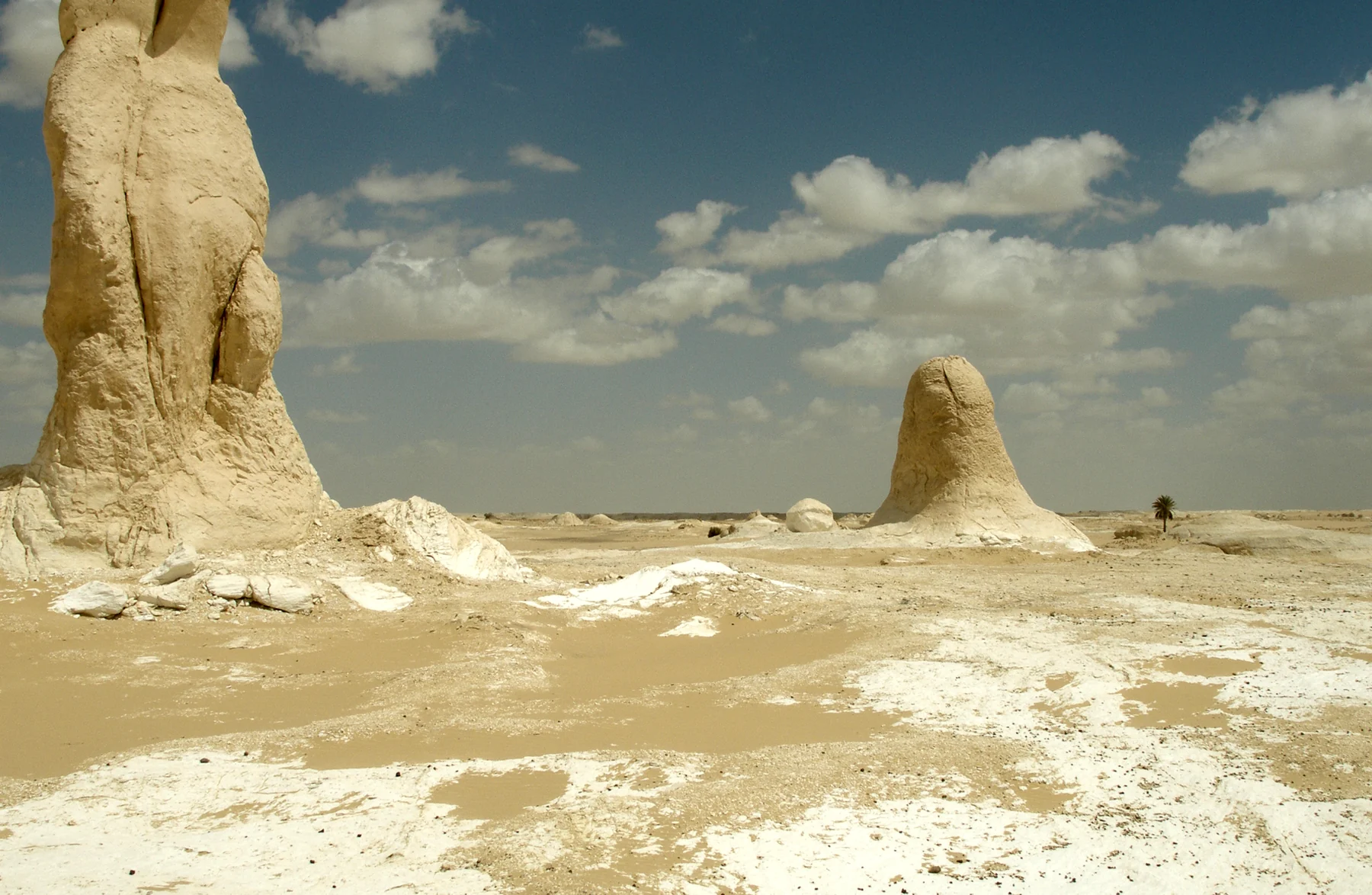 The White Desert